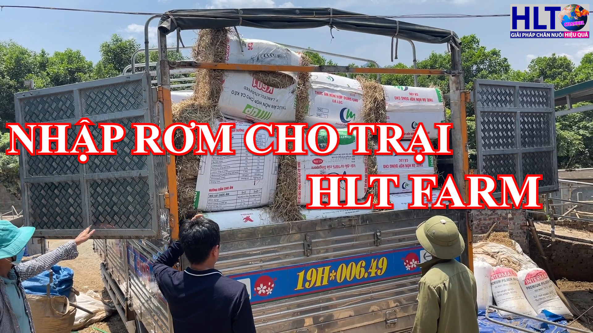 BUỔI TRƯA NHẬP RƠM CHO TRẠI HLT FARM