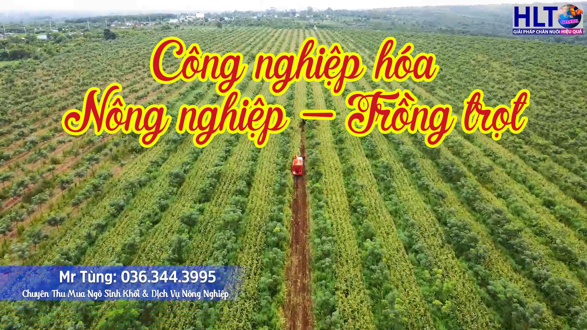 Máy Thu Hoạch NGÔ - CỎ liên hợp - Công Nghiệp Hóa Ngành Nông Nghiệp VN