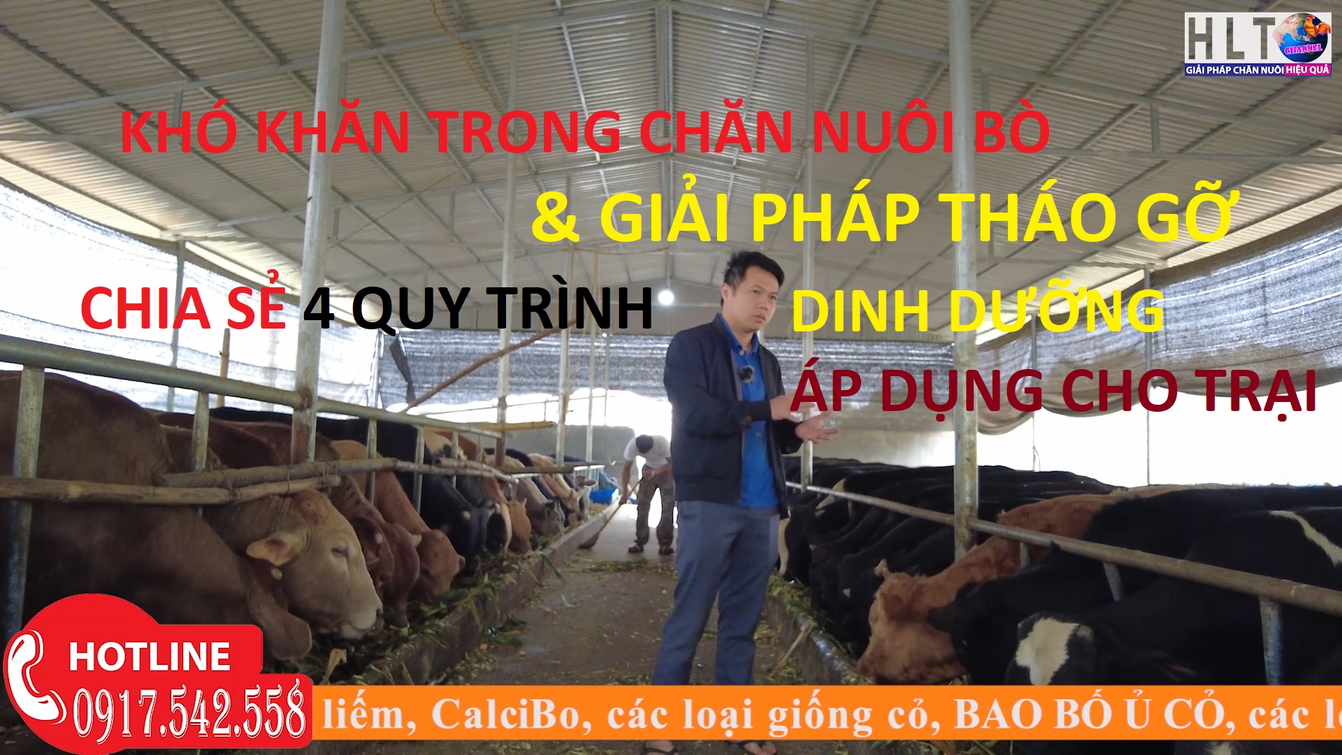 KHÓ KHĂN TRONG NUÔI BÒ VÀO MÙA ĐÔNG & CHIA SẺ 4 QUY TRÌNH DINH DƯỠNG ÁP DỤNG CHO TRANG TRẠI