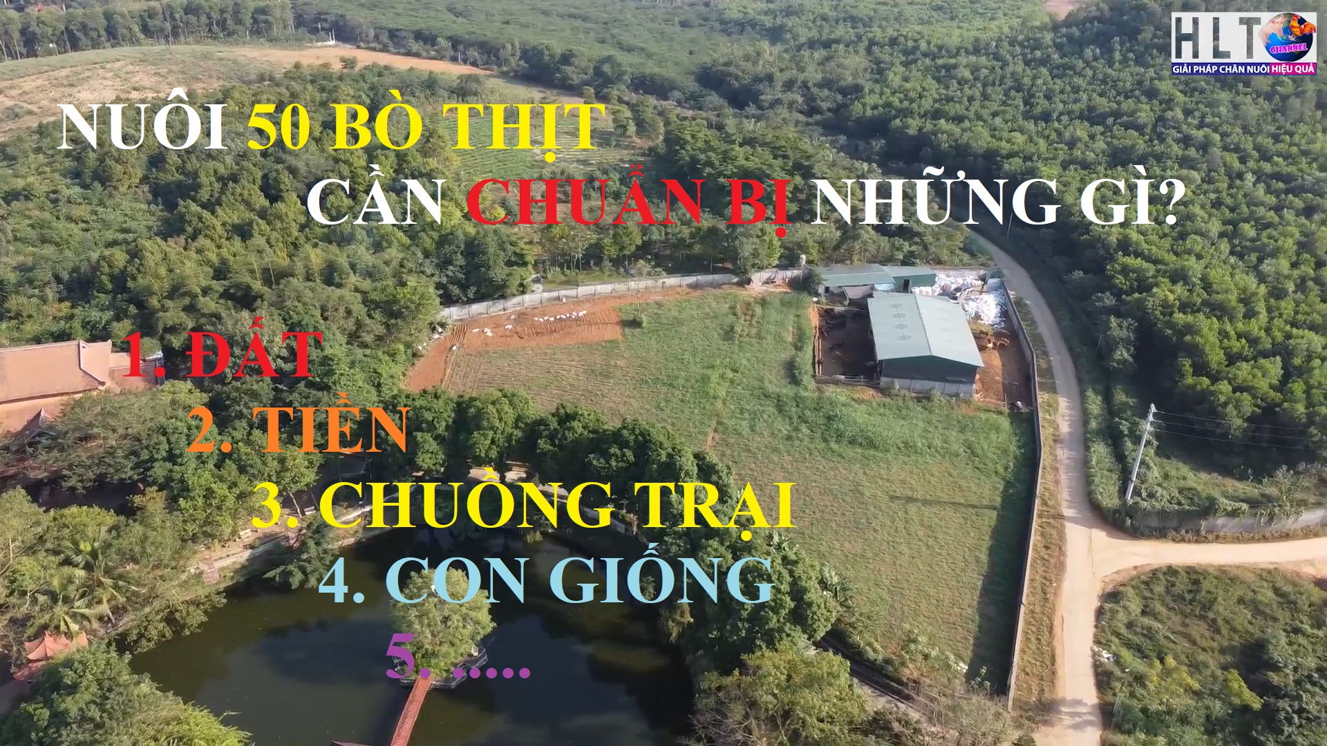 CHI PHÍ BAN ĐẦU ĐỂ KHỞI NGHIỆP NUÔI 50 BÒ THỊT CẦN CHUẨN BỊ NHỮNG GÌ?