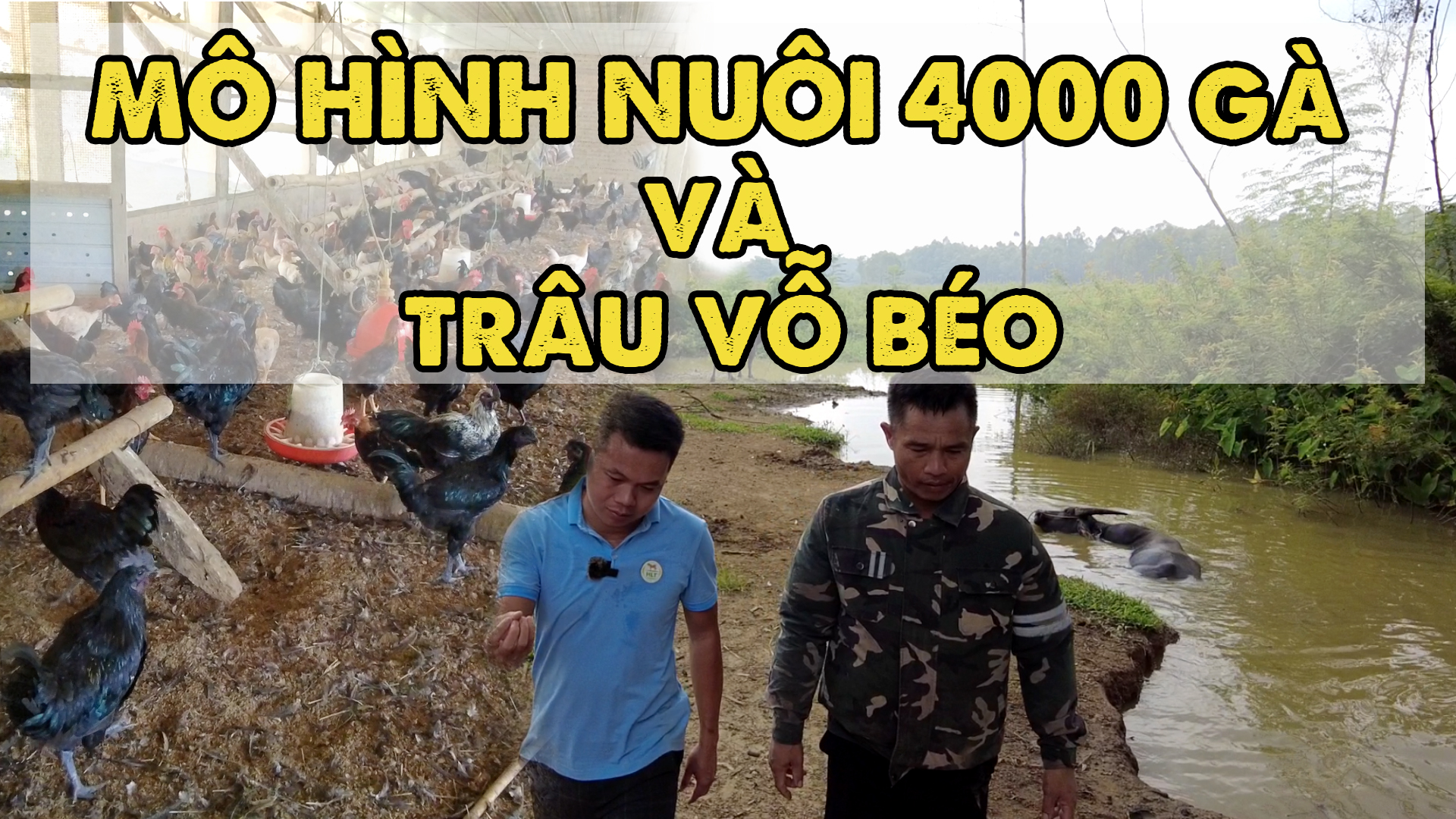 GÀ THÌ KIẾM MÀ TRÂU THÌ VỠ - NHỮNG VẪN PHẢI DUY TRÌ CÁC BÁC Ạ!